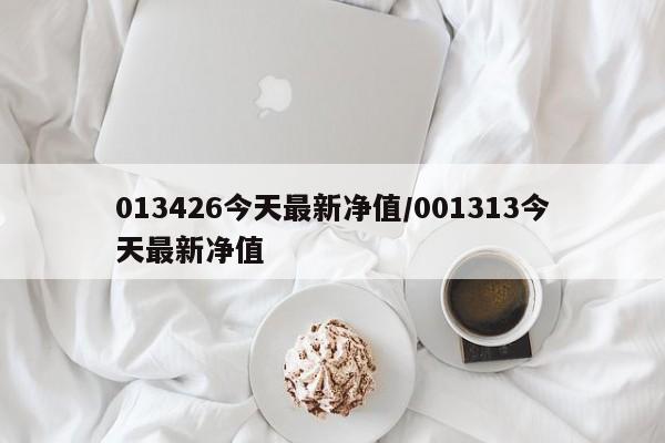 013426今天最新净值/001313今天最新净值