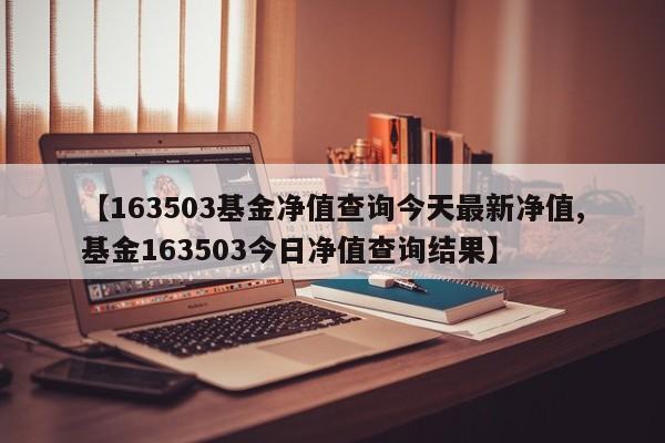 【163503基金净值查询今天最新净值,基金163503今日净值查询结果】